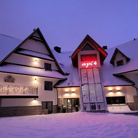 Api Iv Zakopane